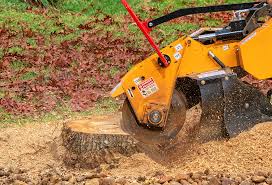 Best Lawn Mowing  in Shullsburg, WI